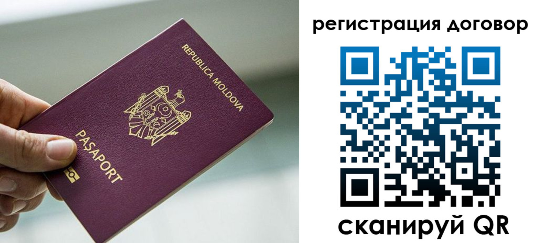 прописка в квартире в Голицыно